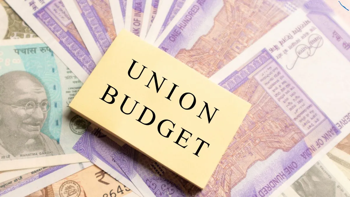 union-budget-202425-know-difference-between-interim-budget-and-full-budget